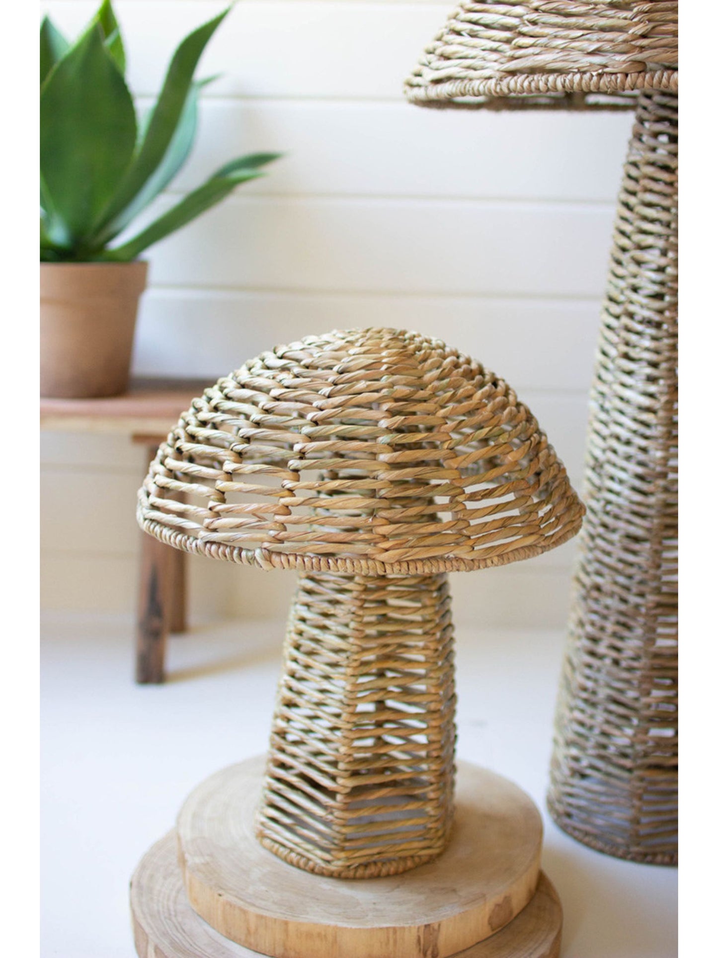 Woven Seagrass Mushroom (PICK UP ONLY)