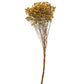 Chartreuse Dried Natural Pearl Grass Bunch (PICK UP ONLY)