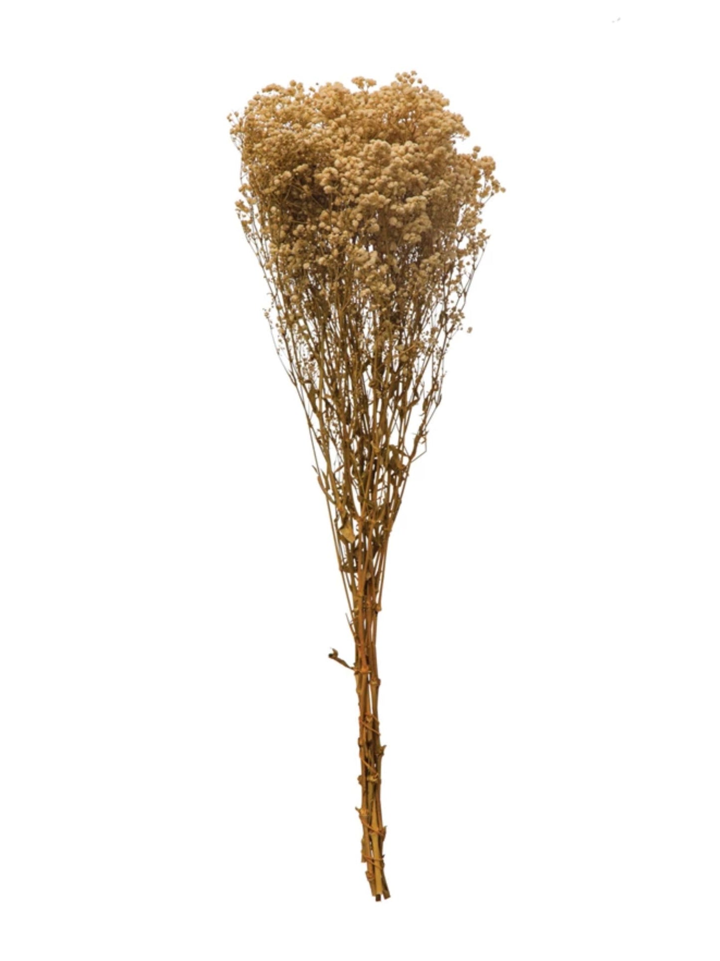 Dried Natural Baby's Breath Bunch (PICK UP ONLY)