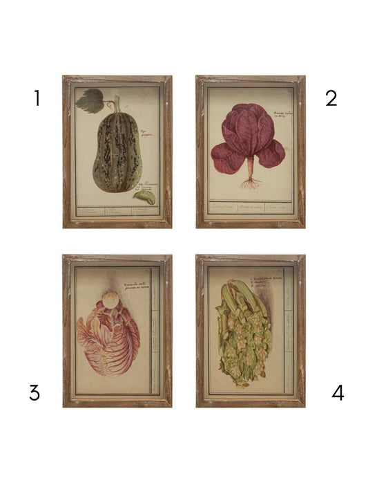 Wall Décor w/ Vintage Reproduction Vegetable Image