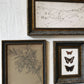 Three Butterflies Frame Picture