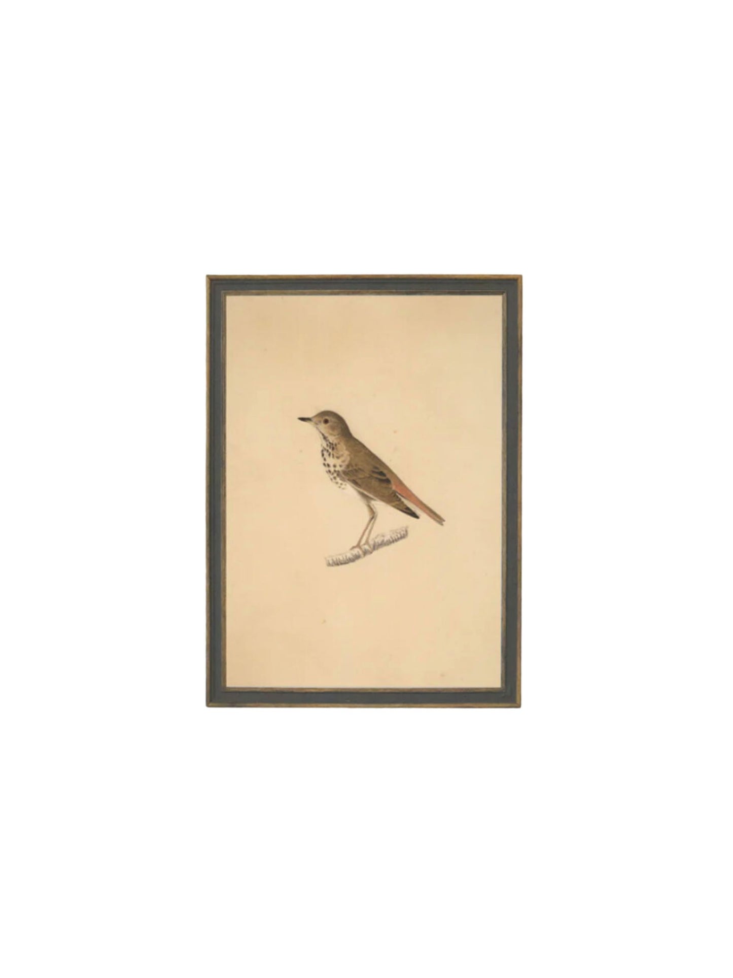 Bird Framed Picture