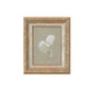 Sage and White Flowers Framed Picture