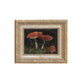 Vintage Mushrooms Framed Picture