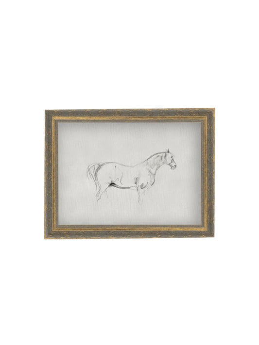 Horse Sketch Framed Picture