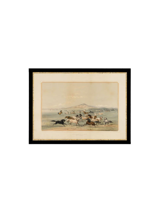 Horse Field Framed Picture