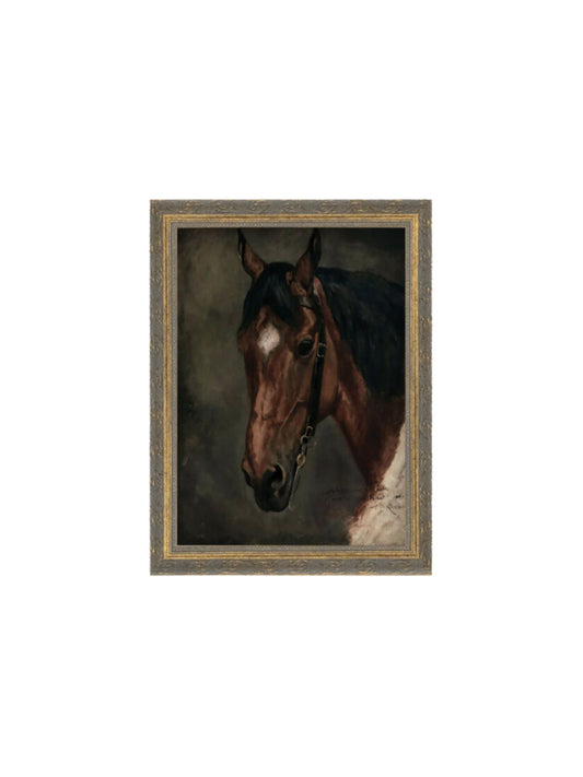 Horse Portrait Framed Picture