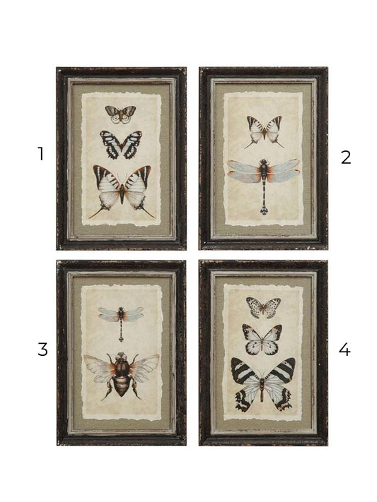 Framed Wall Decor with Insect Print, 4 Styles