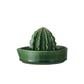 Stoneware Cactus Shaped Juicer