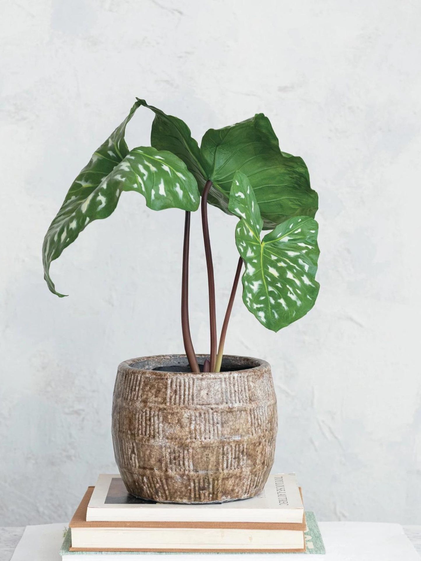 Embossed Terra-cotta Planter