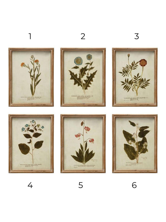 Wood Framed Glass Wall Décor w/ Botanical