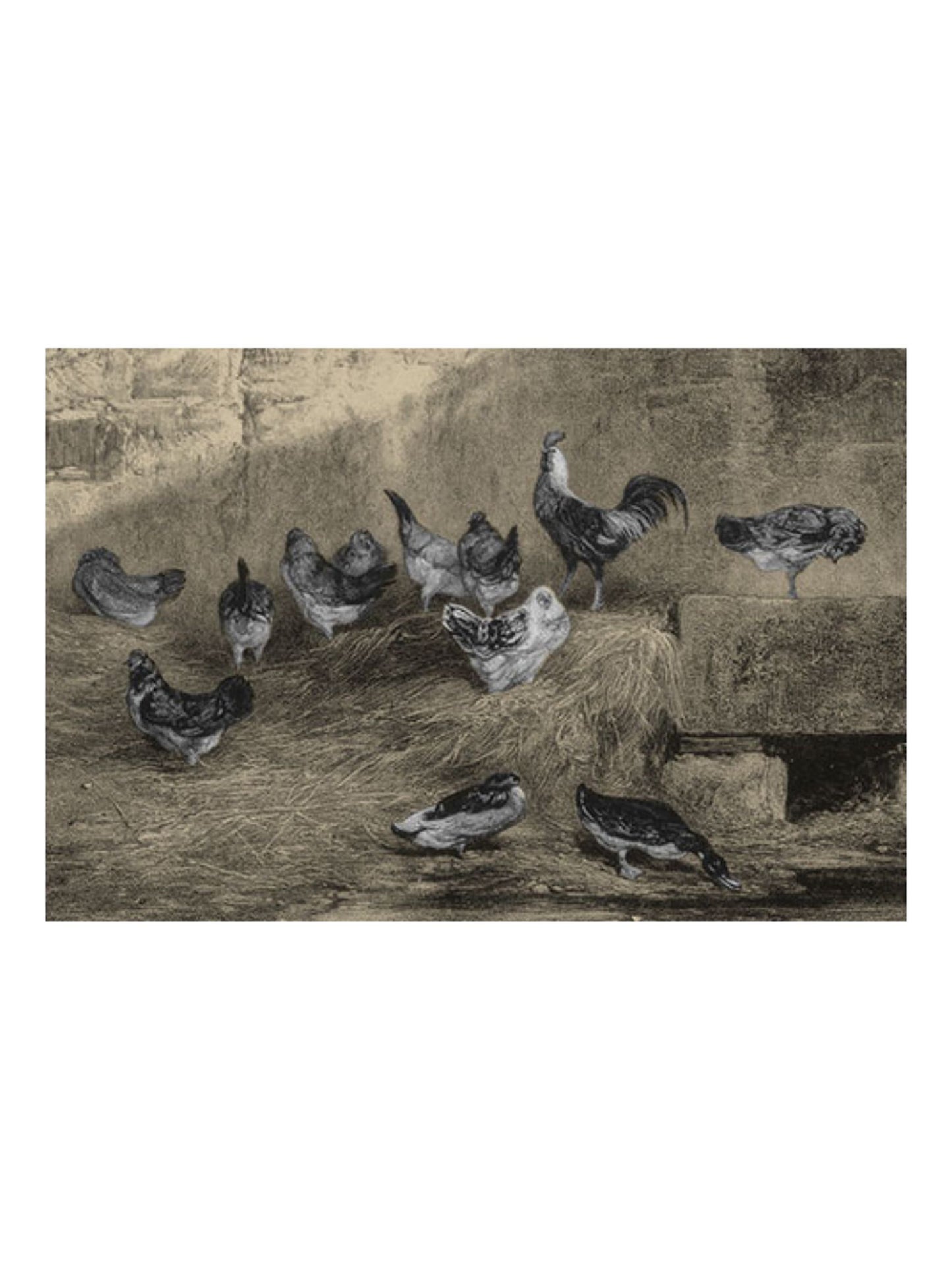 9x12" Hens In The Henhouse Print