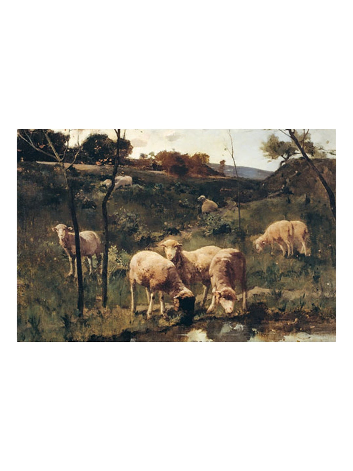 9x12" Sheep By Stream Print