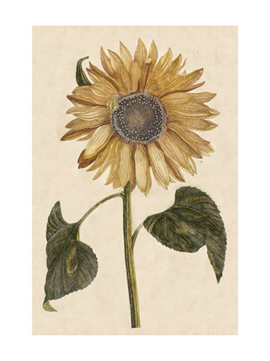 9 X 12" Sunshine Sunflower Print