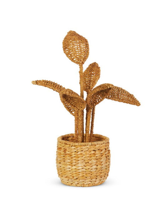 Rattan Potted Plant (PICKUP ONLY)