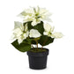 Faux Potted Classic White Poinsettia (Pick Up Only)