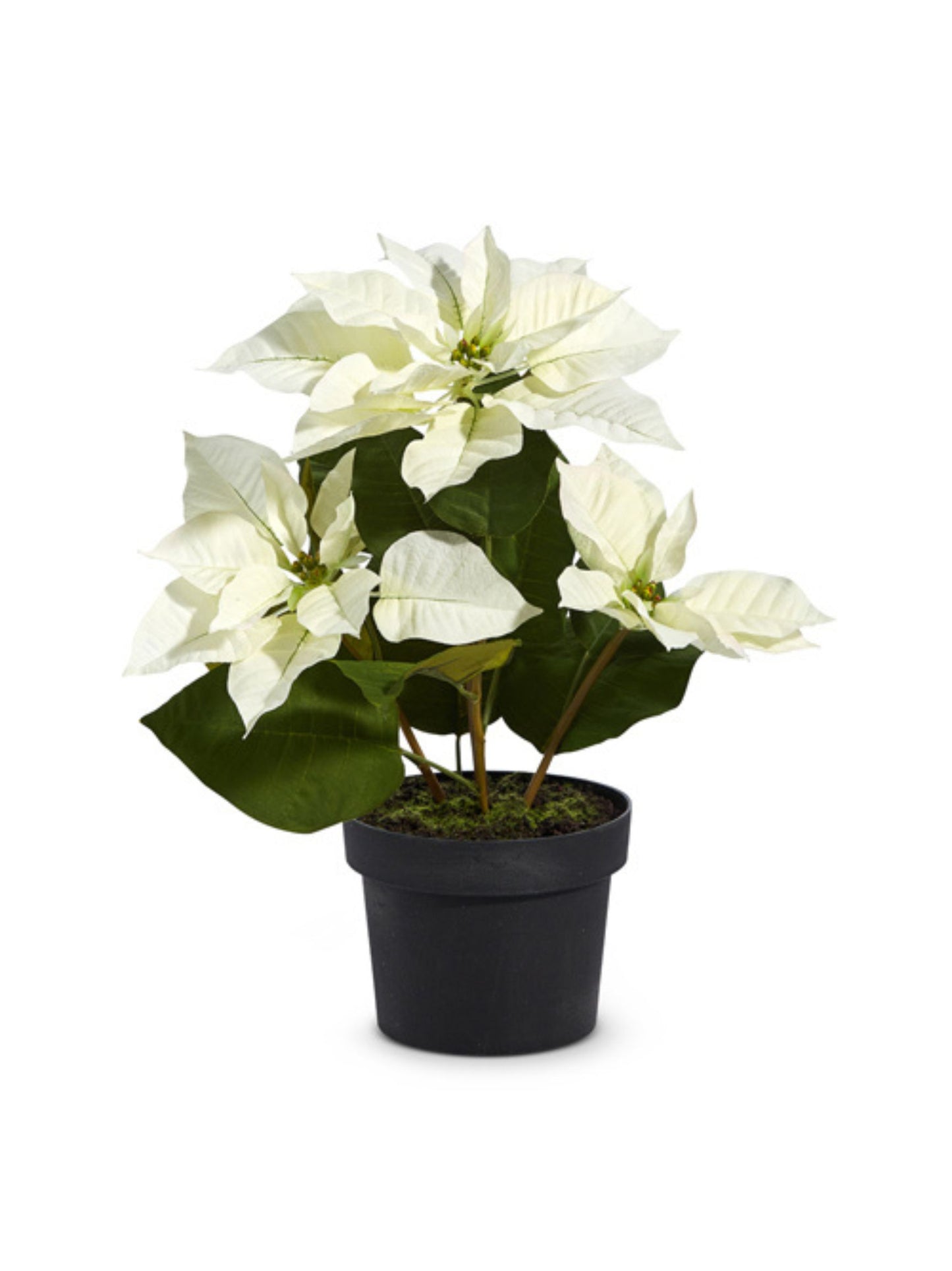 Faux Potted Classic White Poinsettia (Pick Up Only)