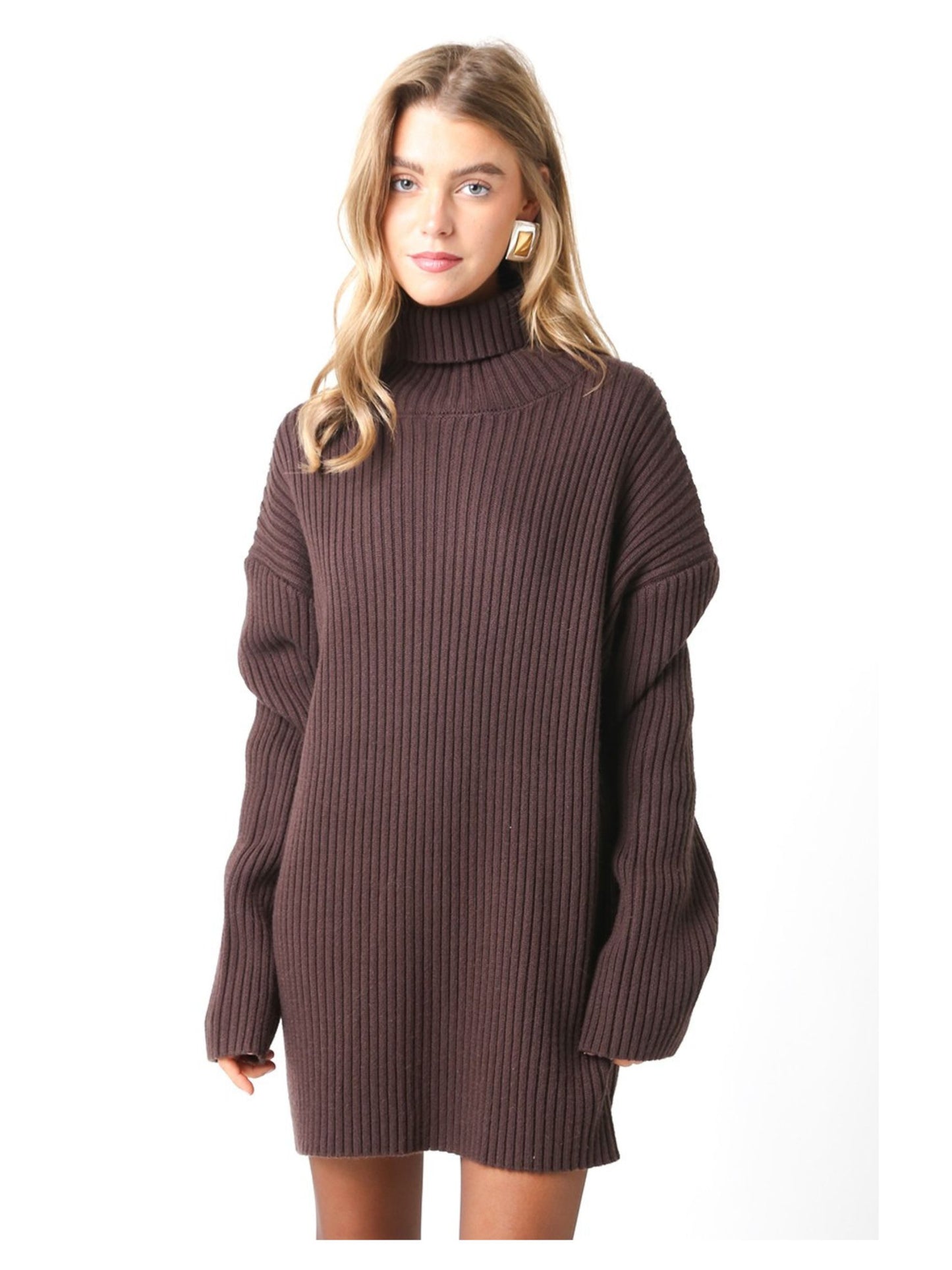 Bianca Knit Sweater Dress