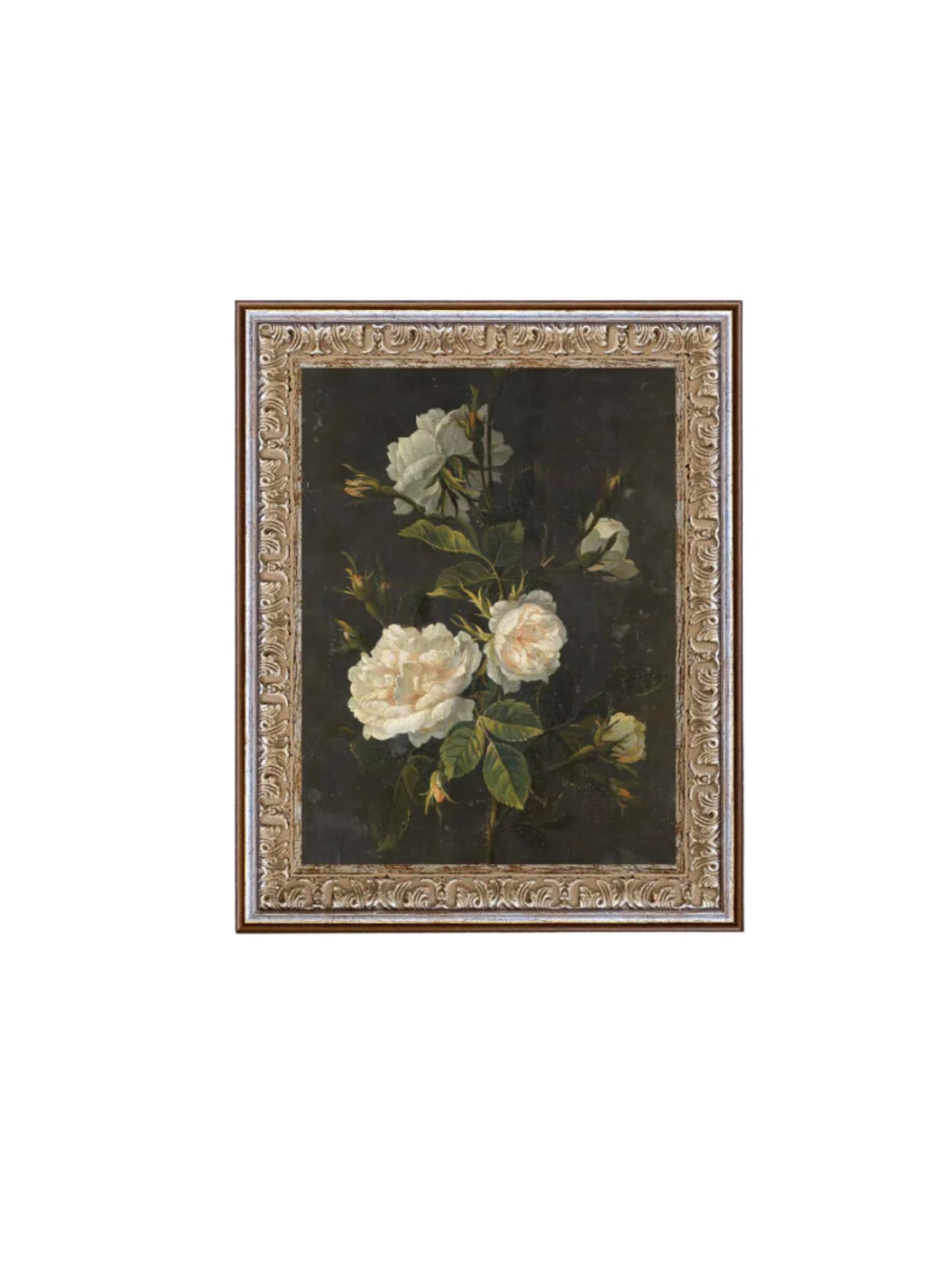 Moody Still Life Rose Framed Picture