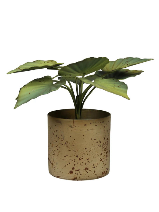 Pot With Green Leaves, Aluminum