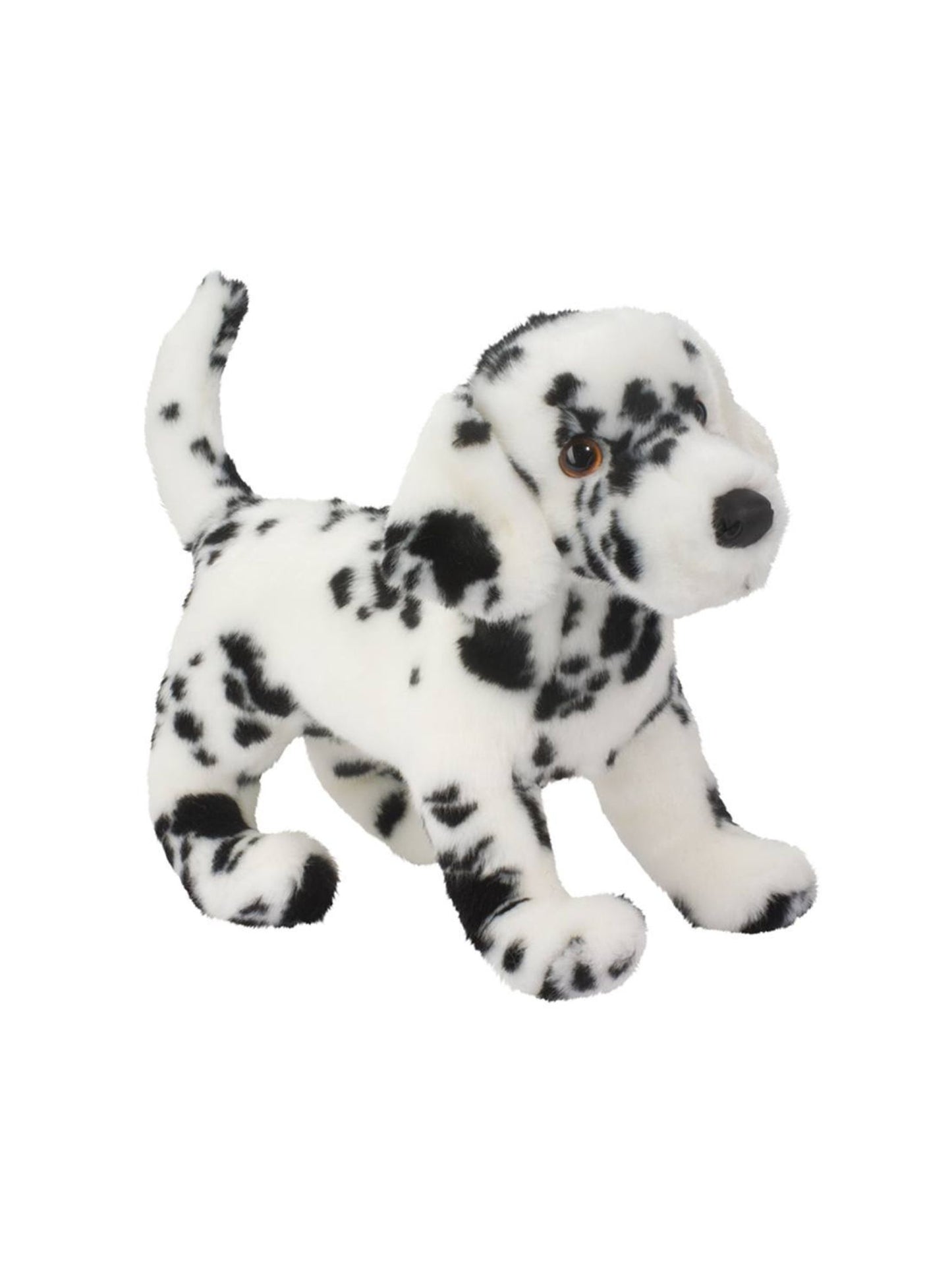 Winston the Dalmatian