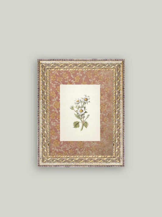 Daisies on Pattern Framed Picture