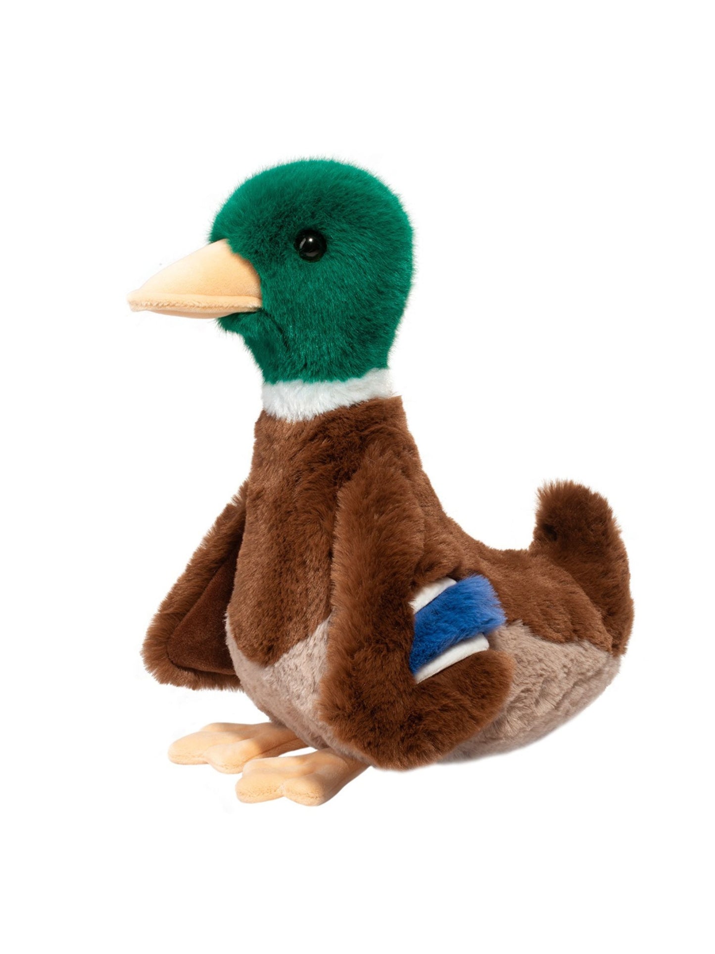 Desie the Mallard Duck