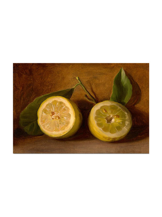 9x12" The Beauty Of Lemons Print