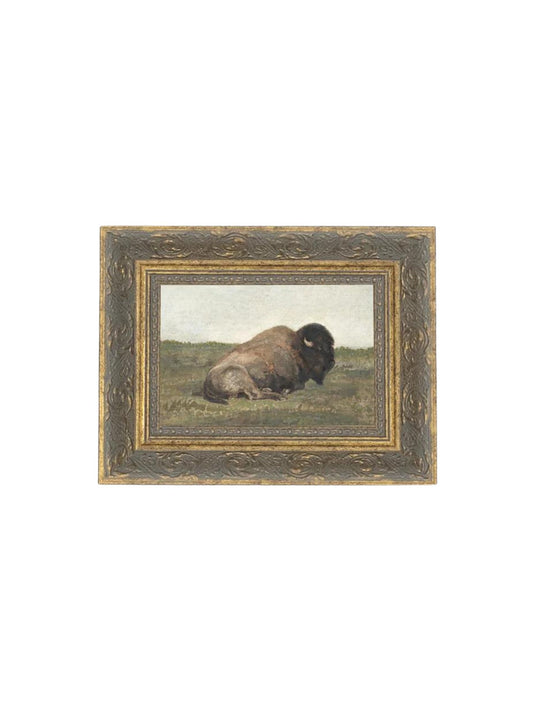 Resting Bison Framed Picture