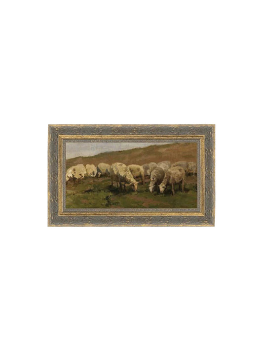 Sheep Landscape Framed Picture