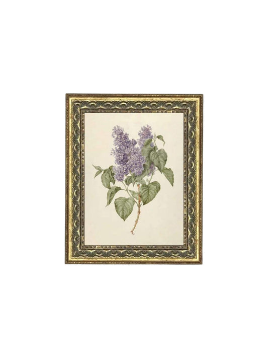 Lilac Branch Framed Picture