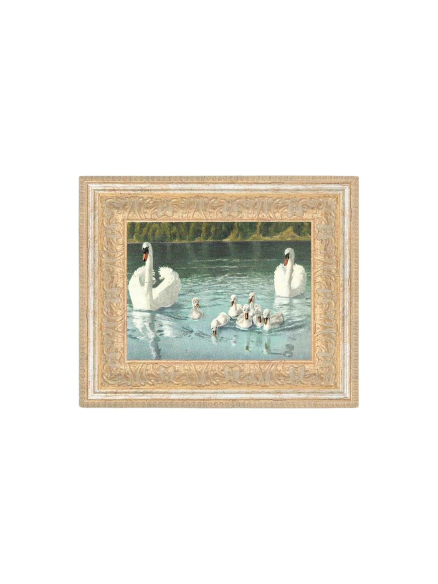 Swan Family Framed Picture