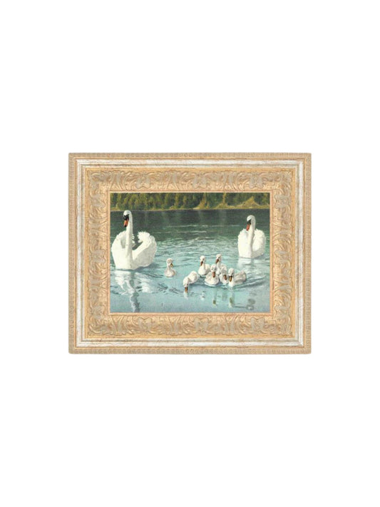 Swan Family Framed Picture