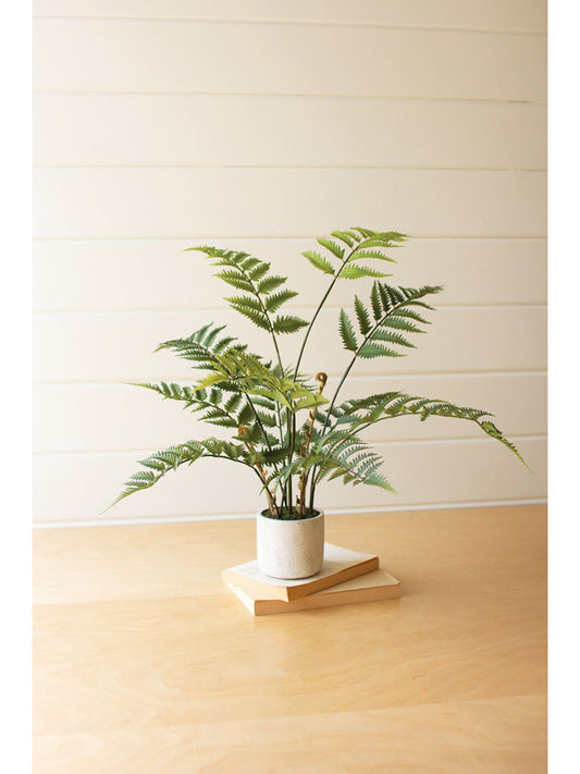 Artificial Fern In A Cement Pot (PICK UP ONLY)