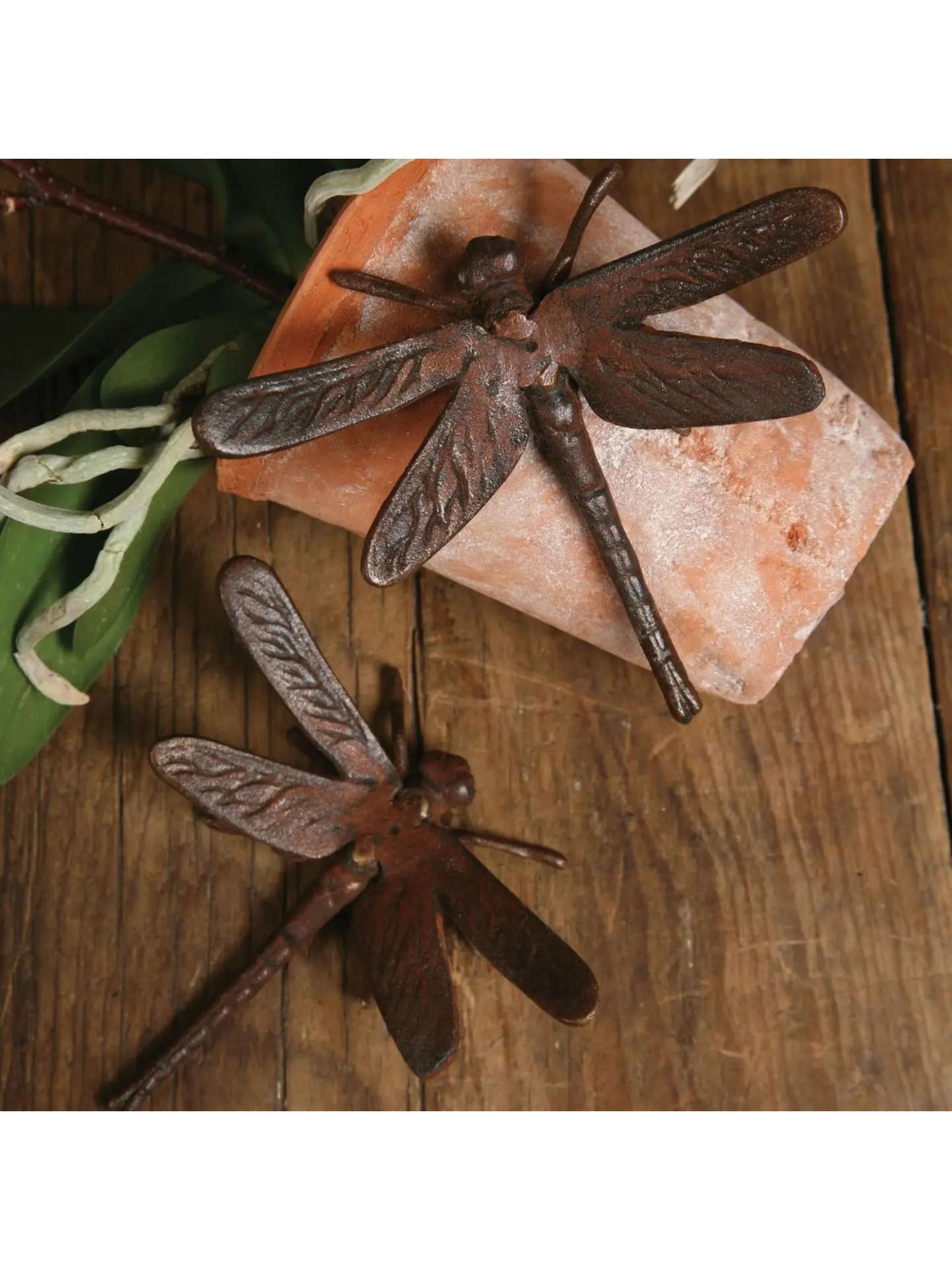 Cast Iron Dragonfly